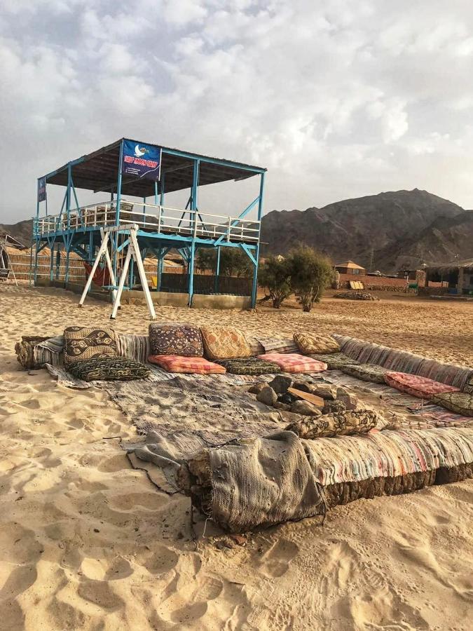 Half Moon Camp Hotell Taba Exteriör bild
