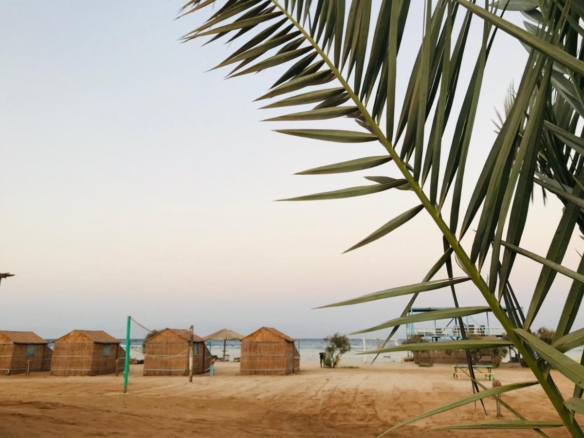 Half Moon Camp Hotell Taba Exteriör bild