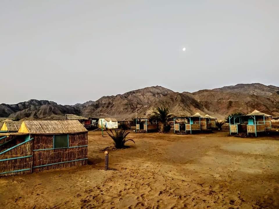 Half Moon Camp Hotell Taba Exteriör bild